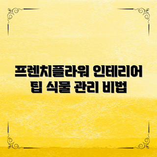 프렌치플라워 인테리어, 프렌치플라워 식물 관리법, 어떻게 인테리어에 활용할까, 프렌치플라워 생명력, 왜 식물이 중요한가
