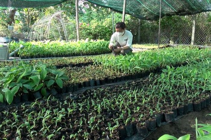 Việt Nam sẽ thí điểm chính sách 'doanh nghiệp một người' - Báo An Giang
