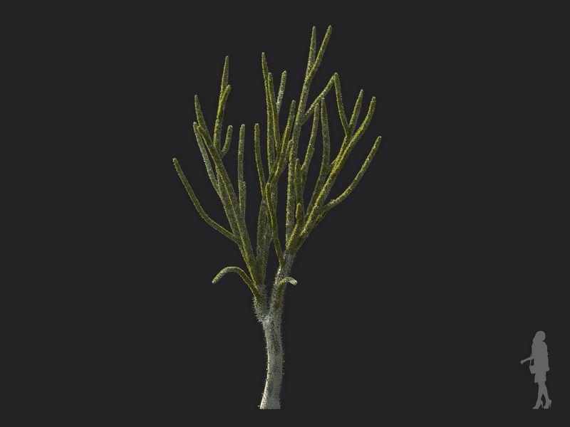 Maxtree - Plant Models Vol.130