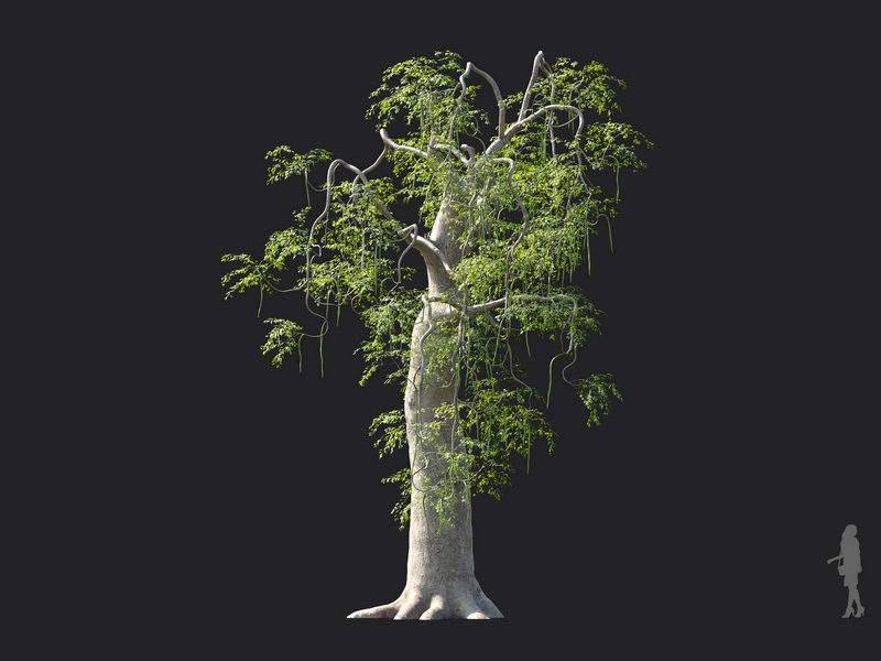 Maxtree - Plant Models Vol.130