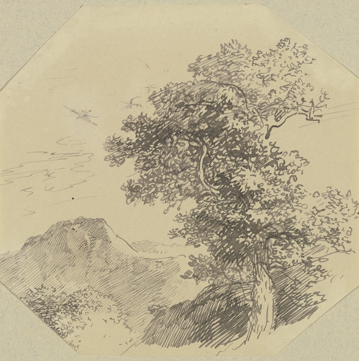 Gebirgslandschaft rechts vorne ein großer Baum