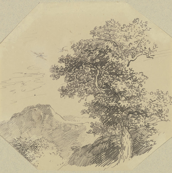 Gebirgslandschaft rechts vorne ein großer Baum