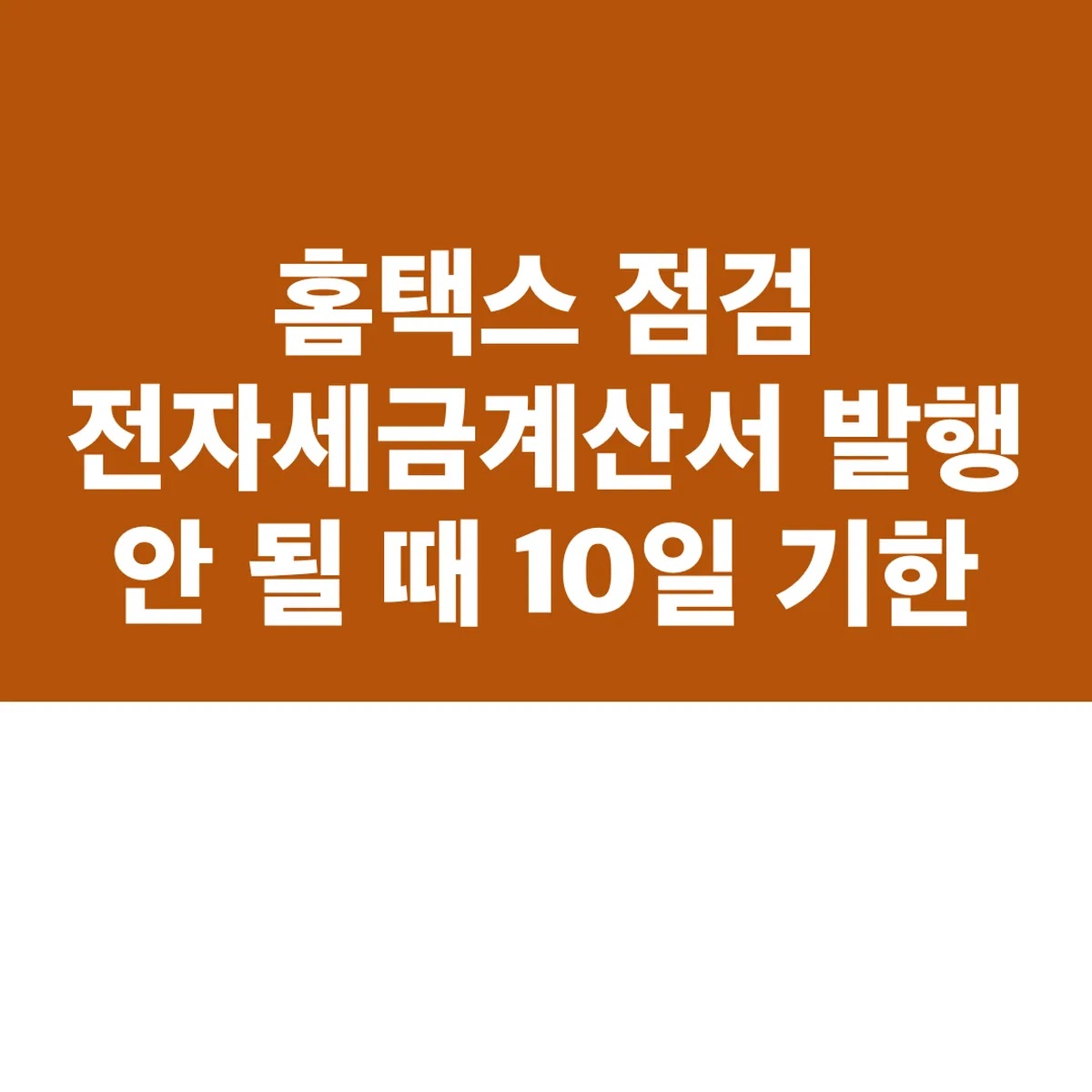 홈택스 점검 전자세금계산서 발행 안 될 때 10일 기한