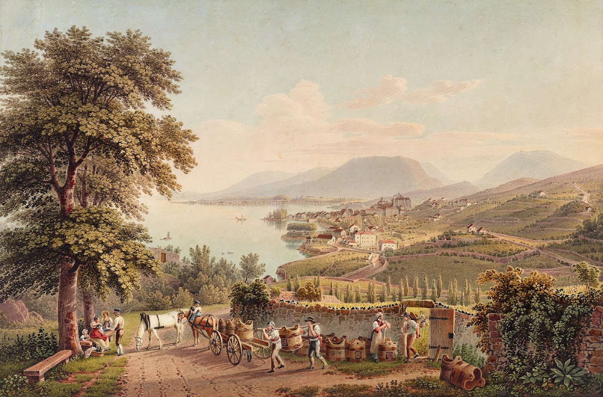 Vue de la Ville de Neuchatel en Suisse 1915 1945