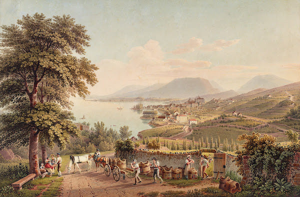 Vue de la Ville de Neuchatel en Suisse 1915 1945