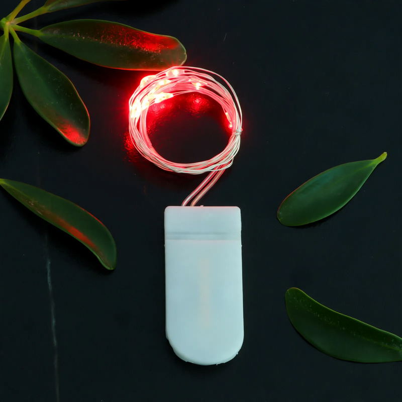 LED Copper Wire String Light with Button Cell Battery Box