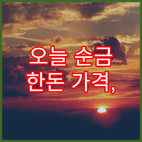 오늘 순금 한돈 가격, 실시간 시세와 금값 전망