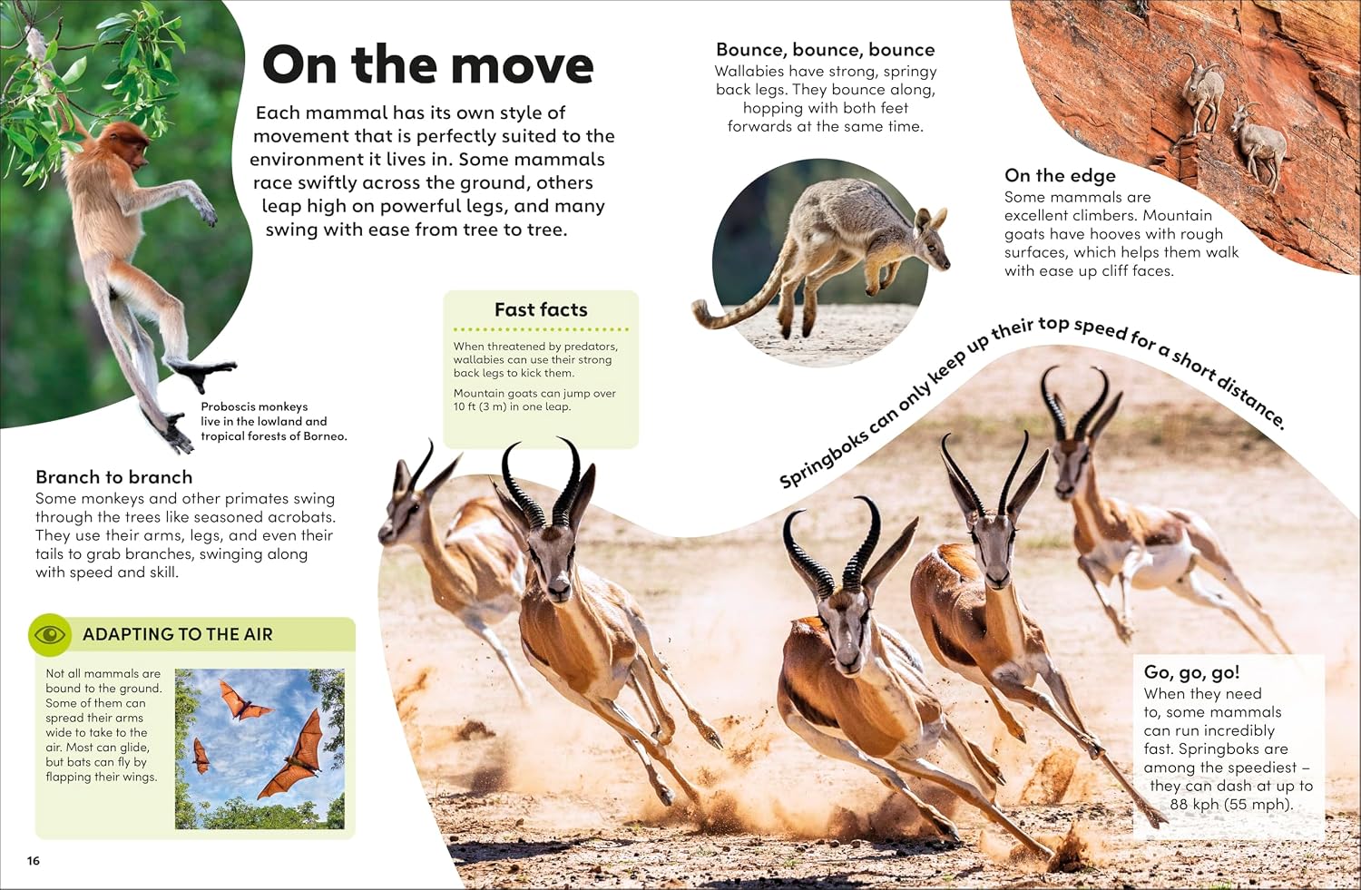 Eyewonder Mammals - thumbnail 2