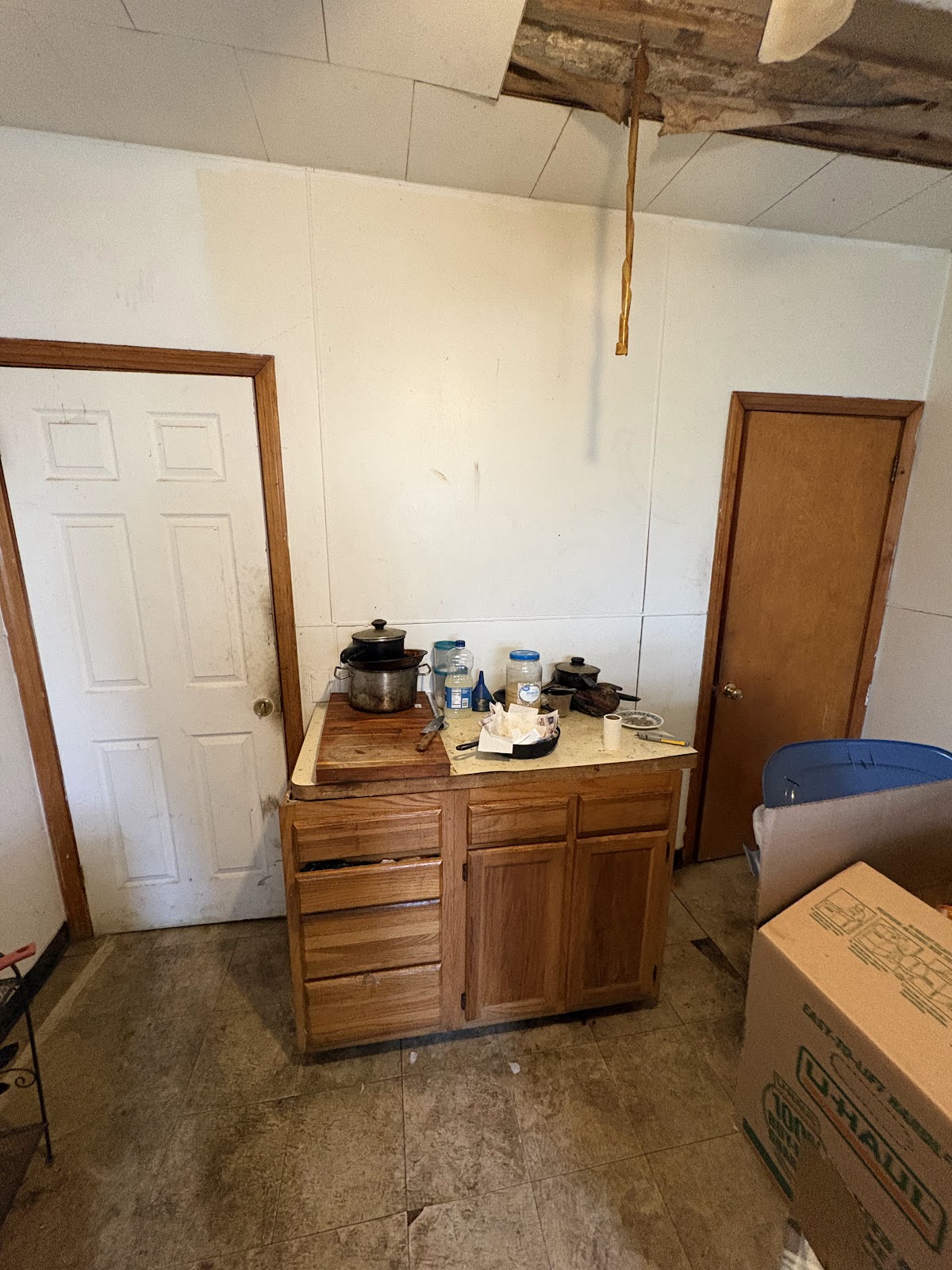 Copy of IMG_7529.HEIC