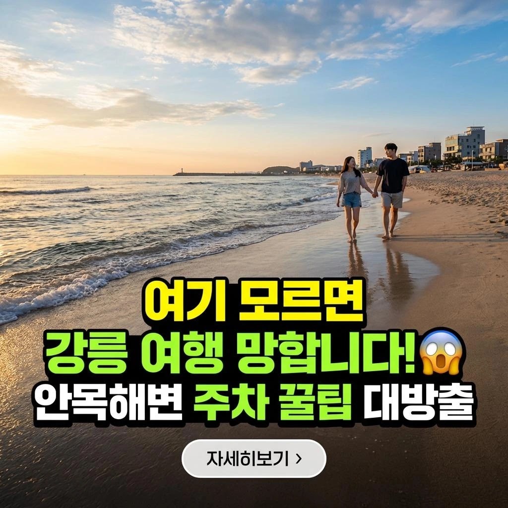 강릉 안목해변, 인생샷 감성 여행 완벽 로드맵