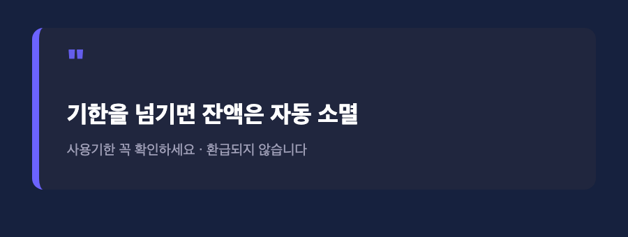 민생지원금 사용기한 안내 — 기한을 넘기면 잔액 자동 소멸, 환급되지 않음