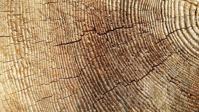 중학교 과학에서 지구의 내부 구조, 쉽게 이해하는 방법