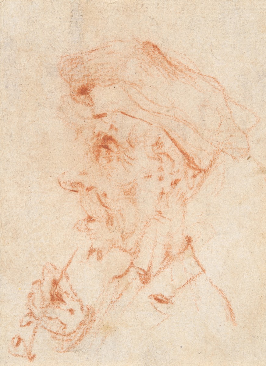 Head of a Man inProfile 18thcentury
