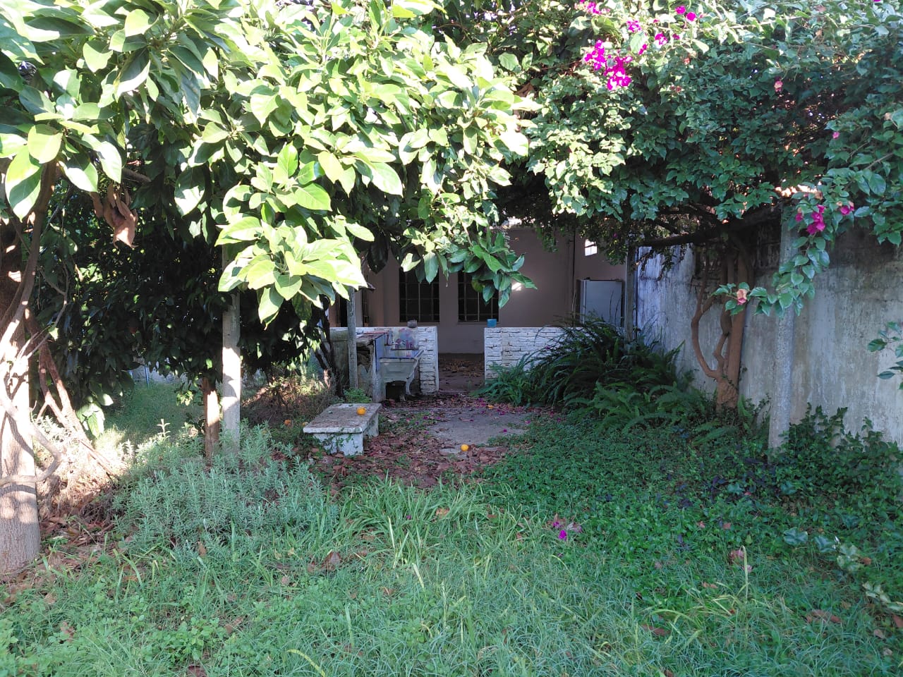 Foto 4