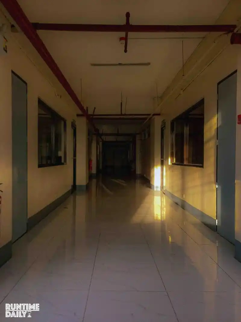 Gallery 6