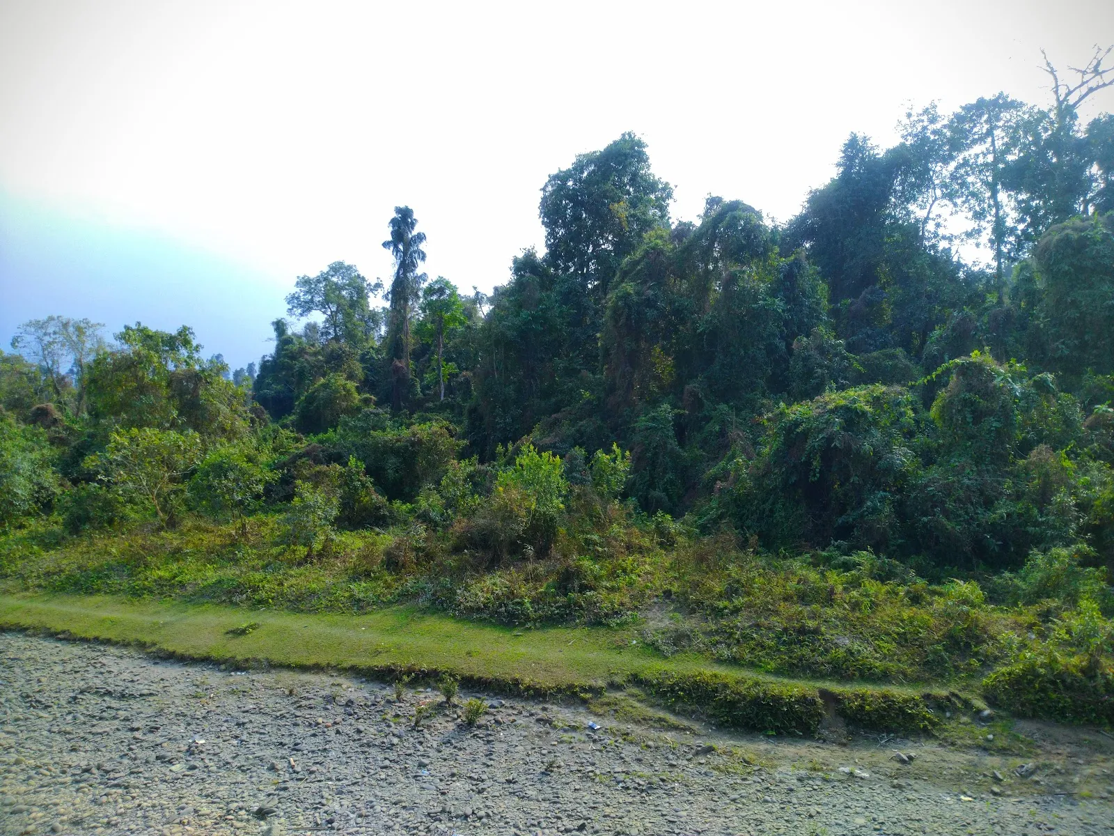 Deomali