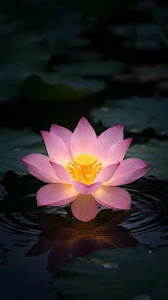 Futuristic Glass Skyscraper Geometric Reflection