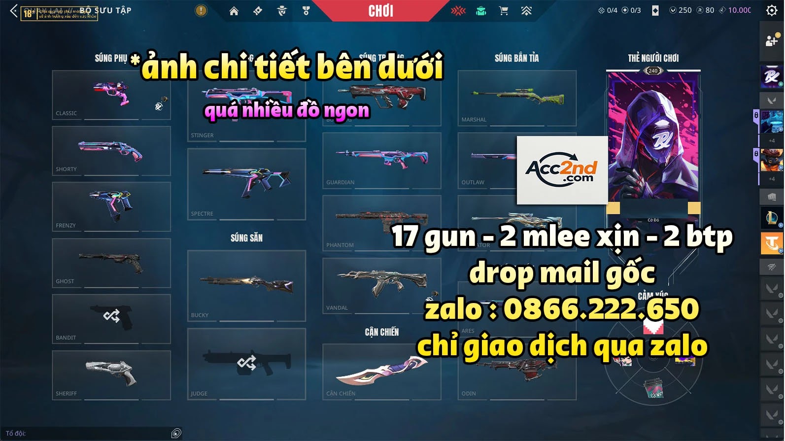 Account Preview