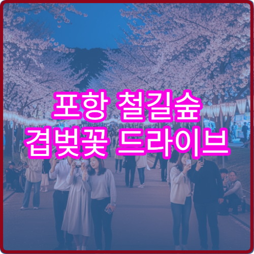 포항 철길숲 겹벚꽃 드라이브 주차 피하는 루트 초보자 완벽 가이드