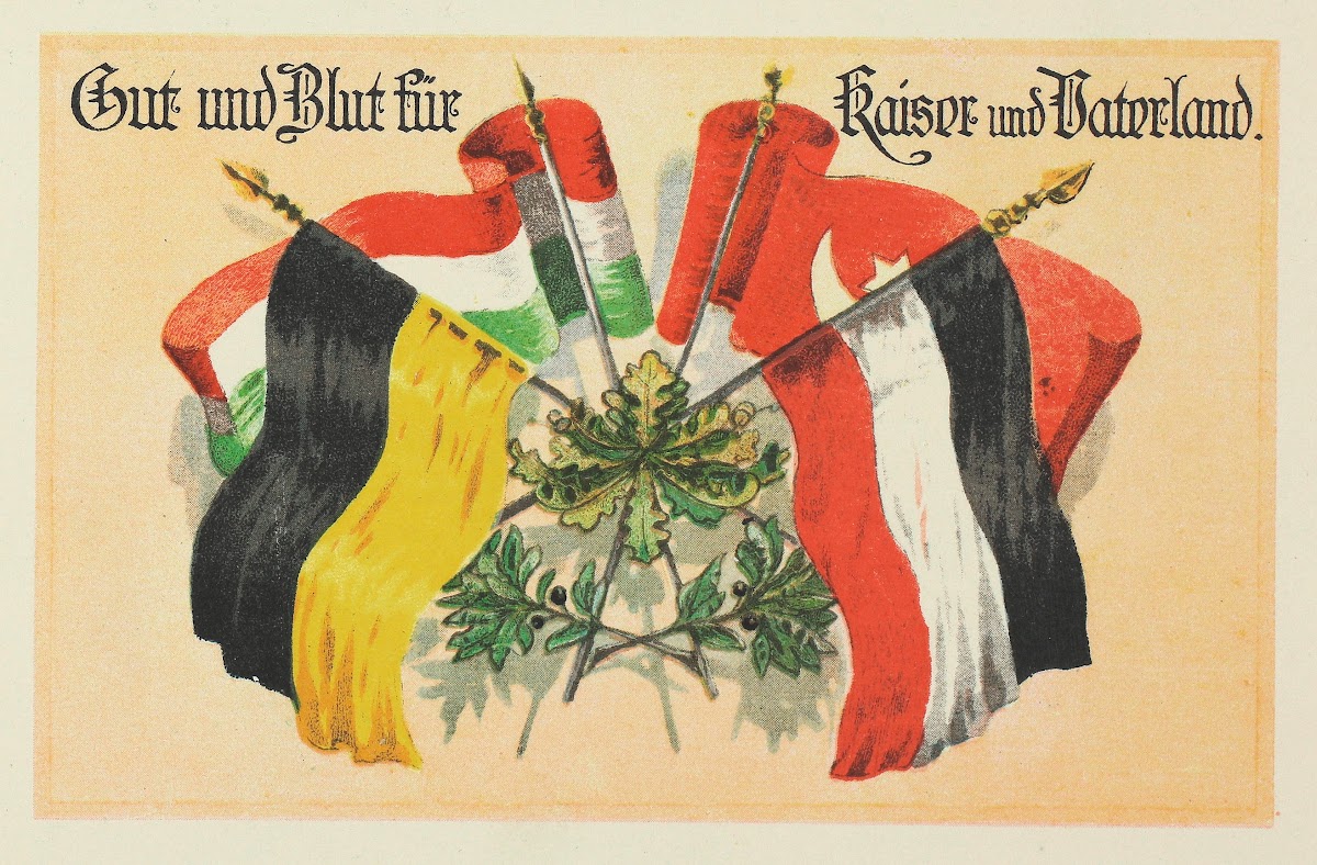 Gut Und Blut FüR Kaiser Und Vaterland 19141915
