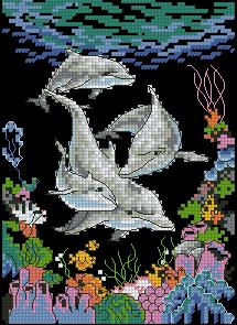 CMP DIM16652 Dolphin Playtime