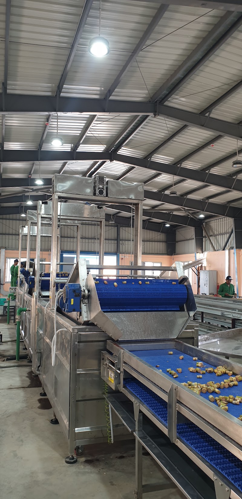 SANAM world-first automated sugarcane seedling factory for the Ministry of Agriculture