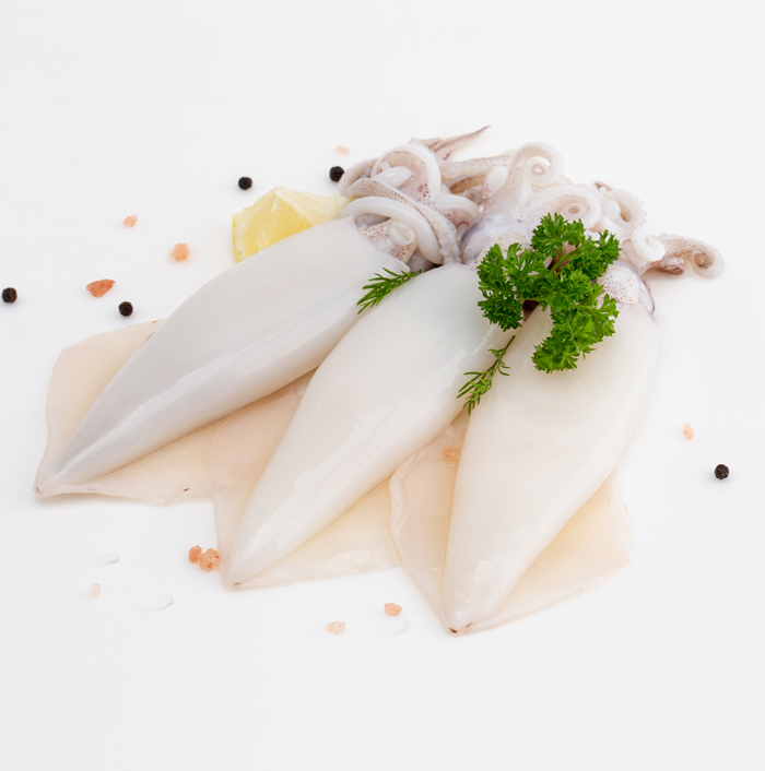 Squid