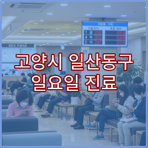 고양시 일산동구 일요일 진료 치과 병원 충치 치료·치통 상담 가능