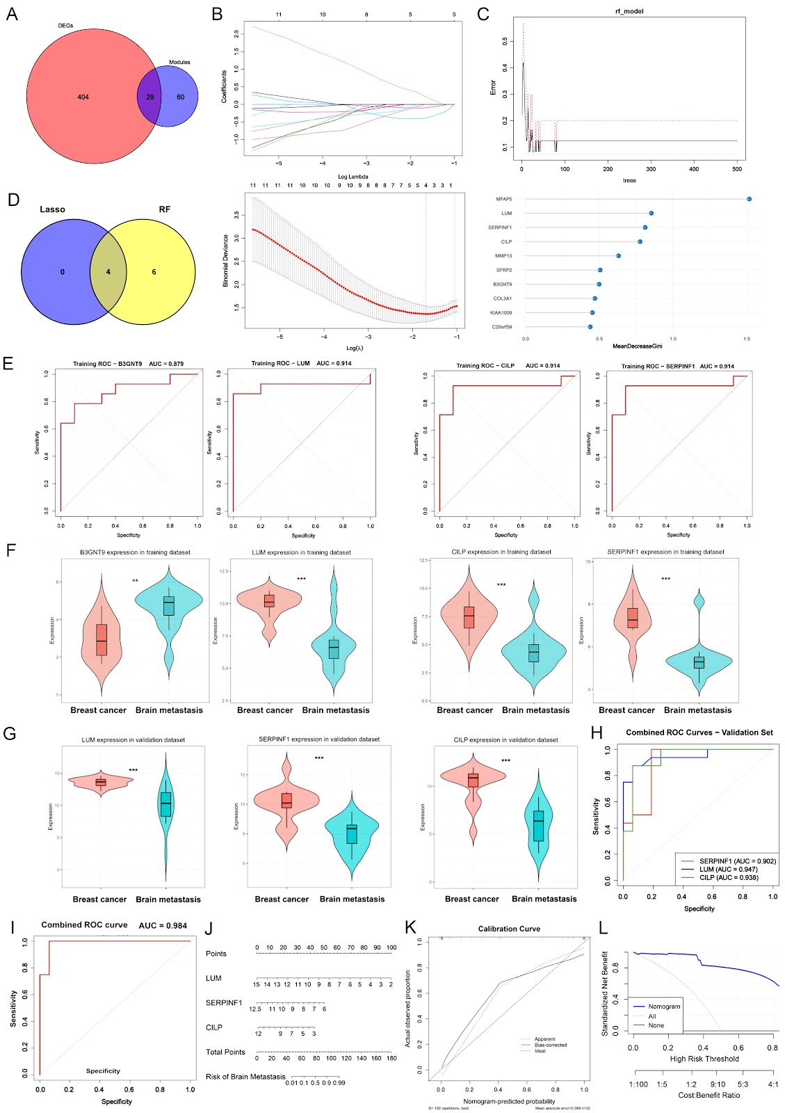 Identification and experimental validation of core genes associated with breast cancer brain metastasis via machine learning