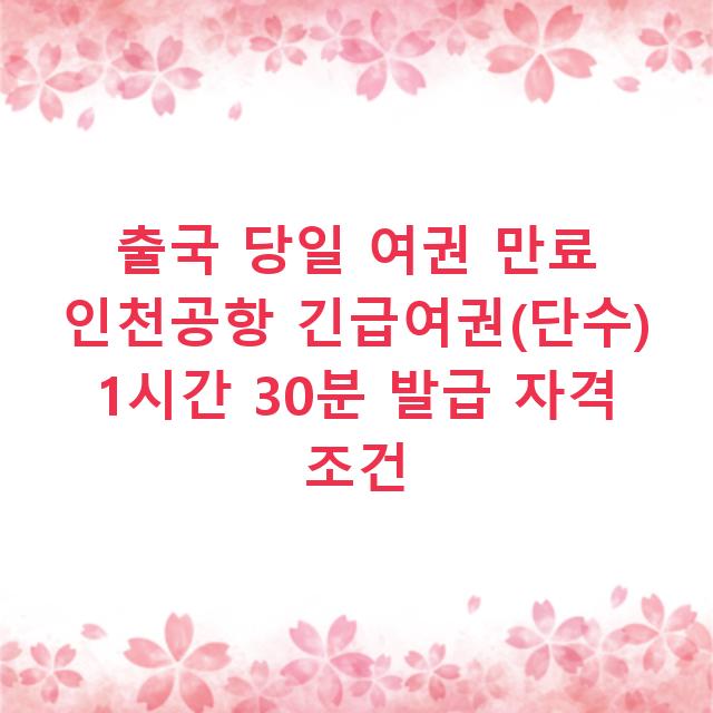 출국 당일 여권 만료 인천공항 긴급여권(단수) 1시간 30분 발급 자격 조건