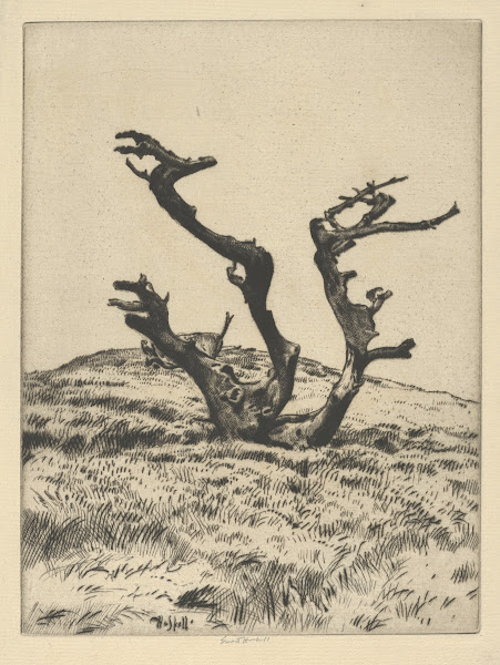 Three Witches 1900 1925