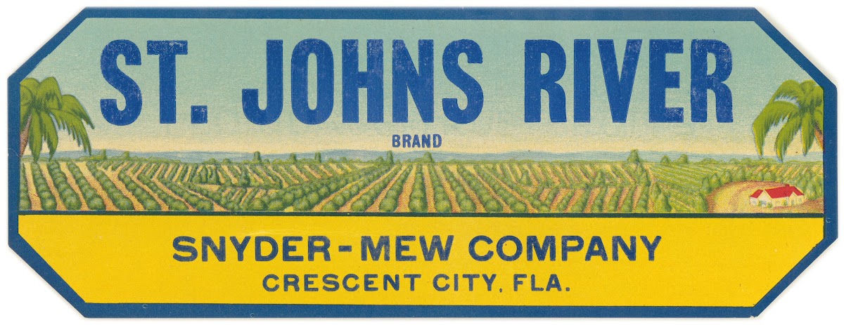 St Johns River Brand Produce Label 1930 1950