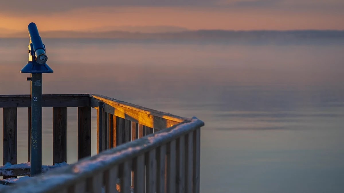 우물 안 개구리 뜻과 유래, 비슷한 표현과 사용 상황
