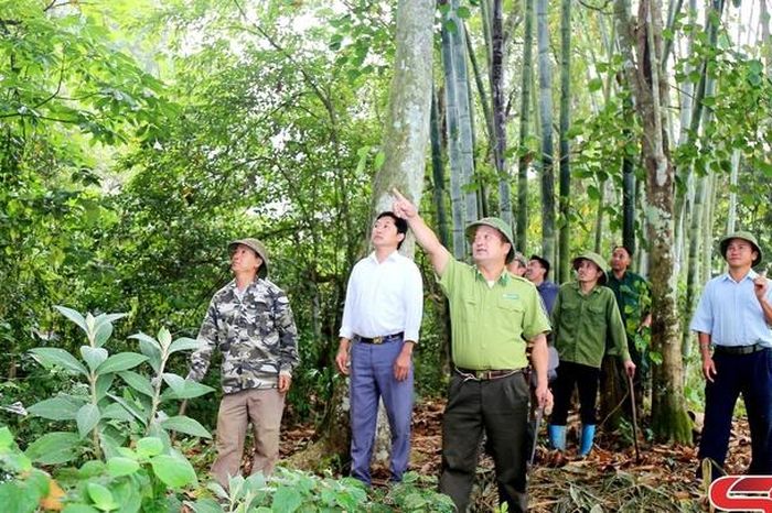 Giữ rừng từ sớm, từ xa - Báo Sơn La