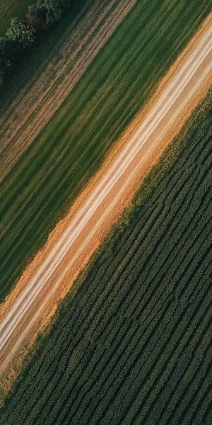 Aerial, Agriculture, Farmland, Rural iPhone Wallpaper Background