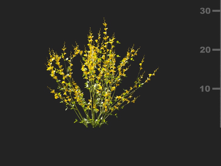 Maxtree - Plant Models Vol.127