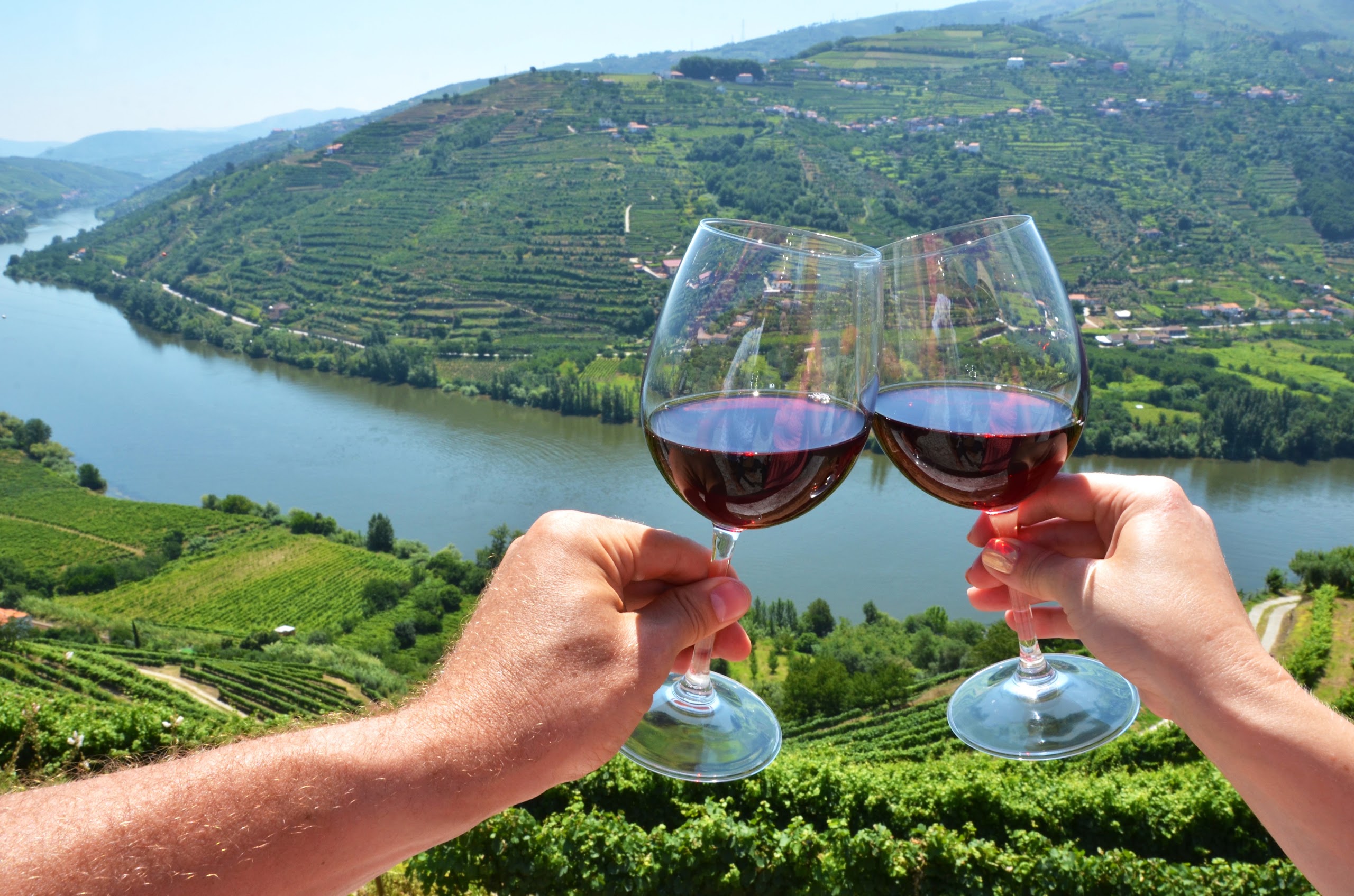 douro-wines-tasting