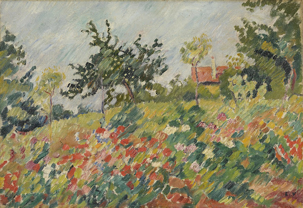 Champ fleuri