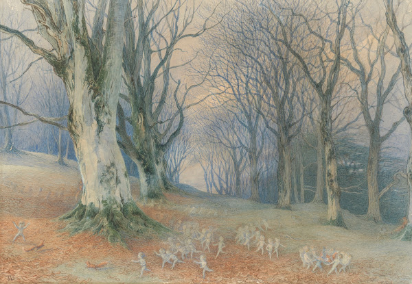 Fairies and squirrels in a forest