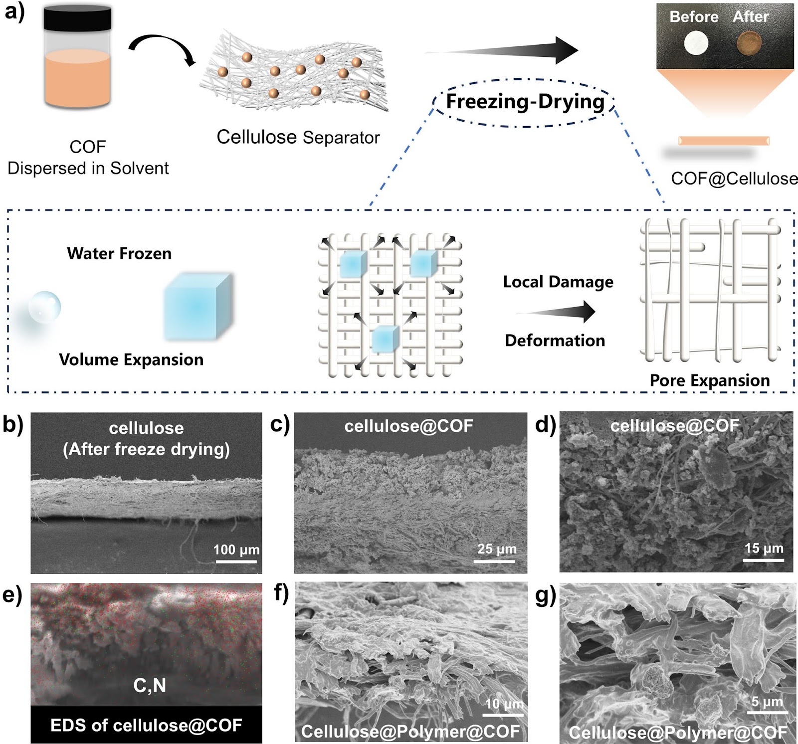 In Situ Polymerization in COF Boosts Li-Ion Conduction in Solid Polymer Electrolytes for Li Metal Batteries