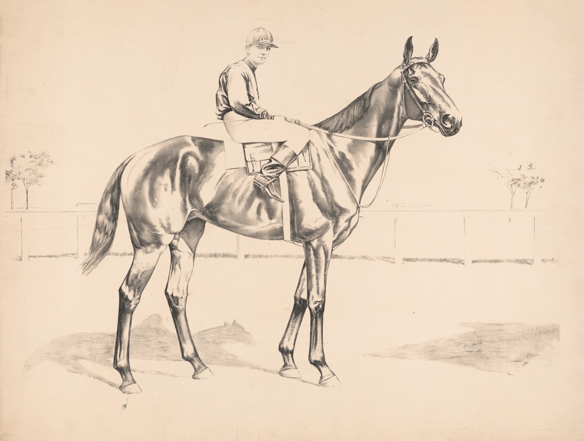 Portrait of race horse and mounted jockey 1890
