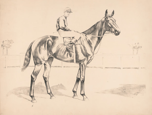 Portrait of race horse and mounted jockey 1890