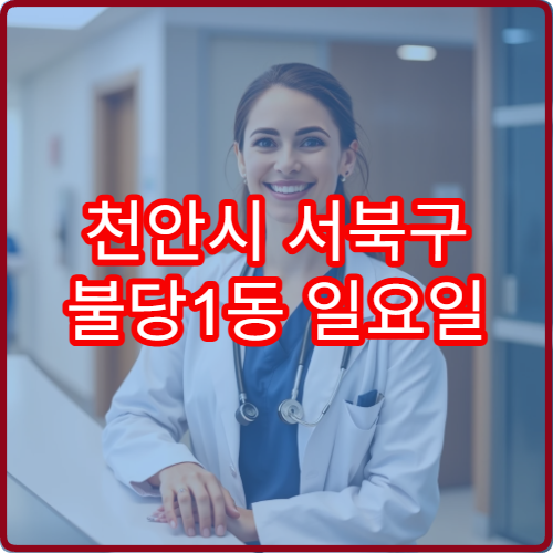 천안시 서북구 불당1동 일요일 피부과 진료 병원 여드름 흉터 상담