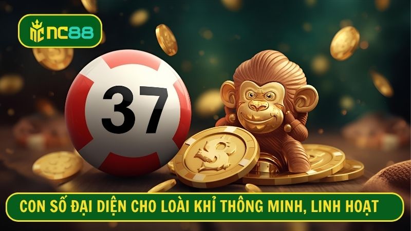 Con số đại diện cho loài khỉ thông minh, linh hoạt