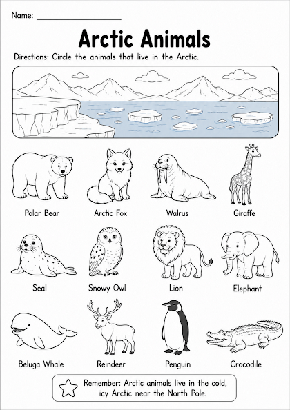 Arctic Animals