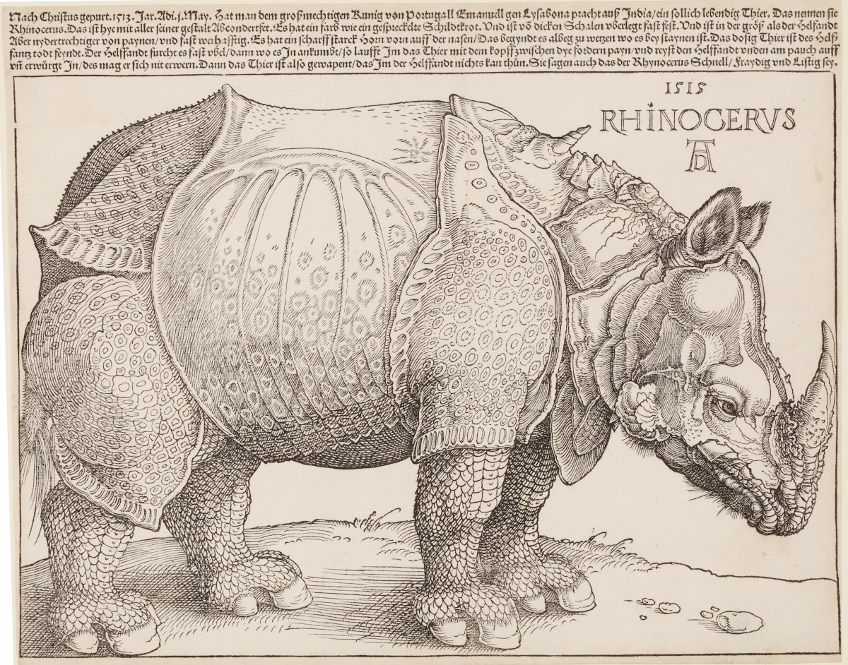 Rhinocerus Das Rhinozeros 1515