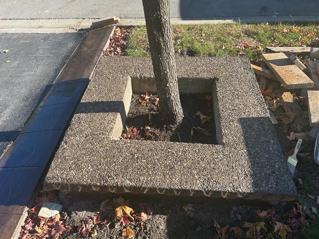 Renovation showcase 1