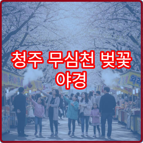 청주 무심천 벚꽃 야경 드론 촬영 허용 구역과 주의사항