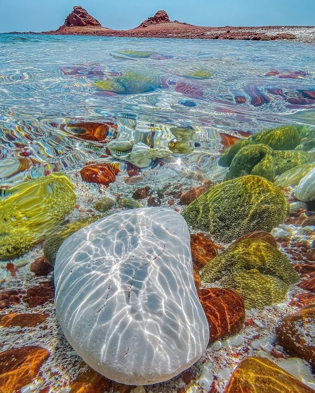 Socotra Island: The Most Alien Place on Earth That Humans Can Actually Visit