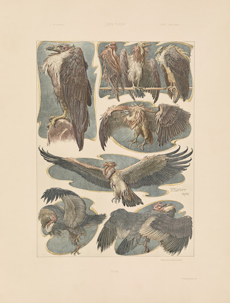 Das Thier in der decorativen Kunst Pl26 1896